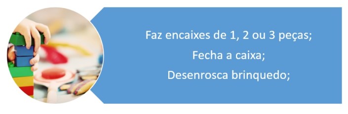 Blogue Desenvolvimento Humano 1-2 Anos - Cognição NVerbal