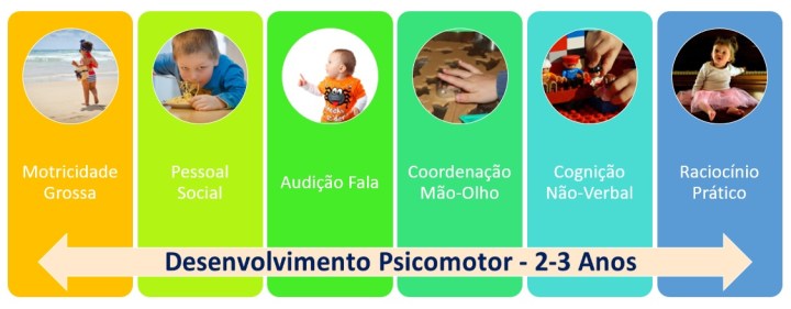 Dezenvolvimento 2-3 anos