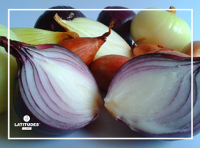 TI emoções cebola2