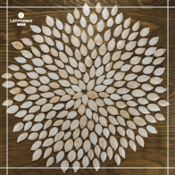 Imagens Quadradas (2)