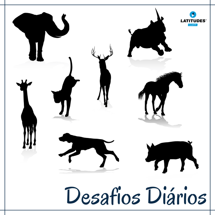 Desafios Diários